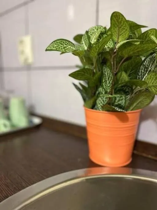 A14 Parliament Sunflower Cozy Apartment Budapest
